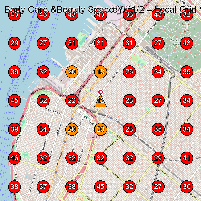 Body Care &Beauty SpacœYcˆ1/2 GeoGrid visibility map for Beauty Salon in Brooklyn